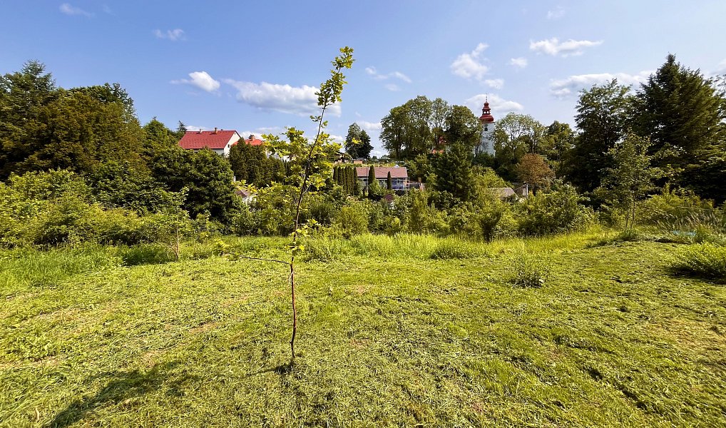 Prodej stavebního pozemku 3 226 m², Kamenice – náhled fotky 9