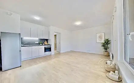 Pronájem bytu 1+kk 35 m²