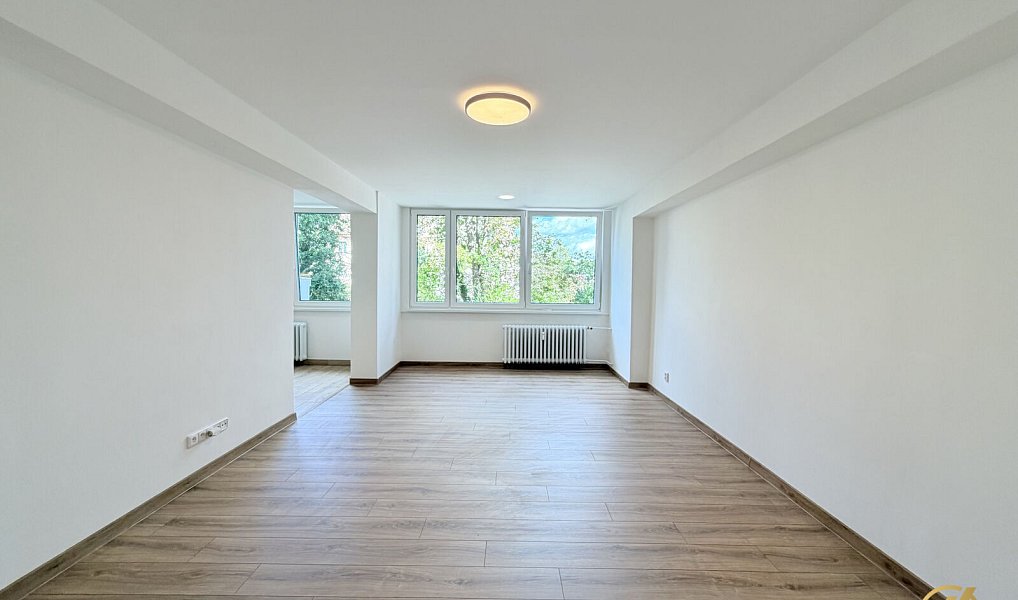 Prodej bytu 2+1 60 m², Mladá Boleslav – náhled fotky 3