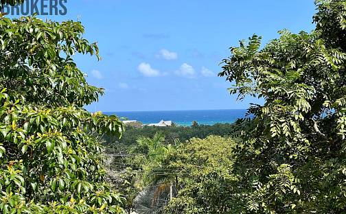 Prodej domu 111 m² s pozemkem 2 428 m², Coxen Hole, Roatán, Honduras