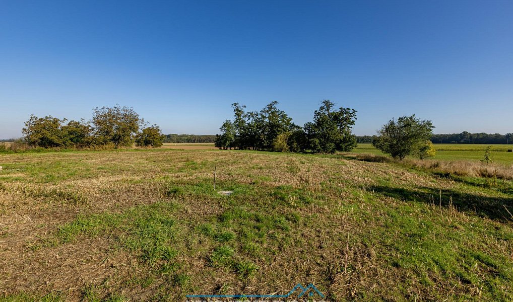 Prodej stavebního pozemku 4 501 m², Slup – náhled fotky 11