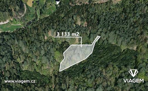 Prodej lesa 609 m², Petráveč, okres Žďár nad Sázavou