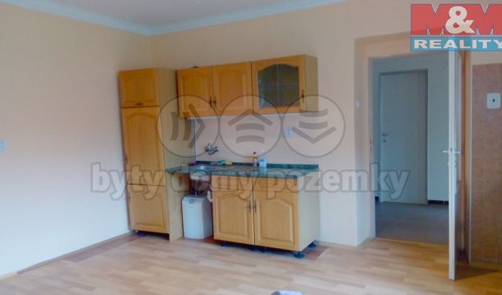 Prodej domu 342 m² s pozemkem 2 528 m², Hlízov – náhled fotky 2