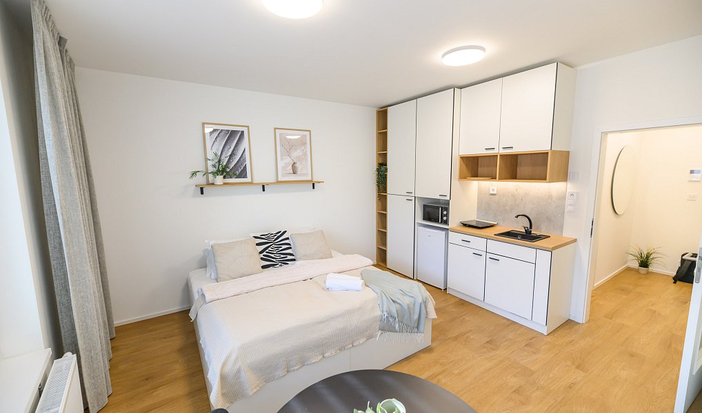 Pronájem bytu 1+kk 27 m², Brno – náhled fotky 9