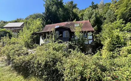 Prodej domu 120 m² s pozemkem 545 m², Děčín - Děčín XIV-Dolní Žleb