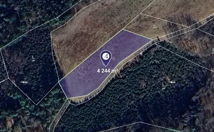 Prodej louky 4 244 m², Úbislavice, okres Jičín