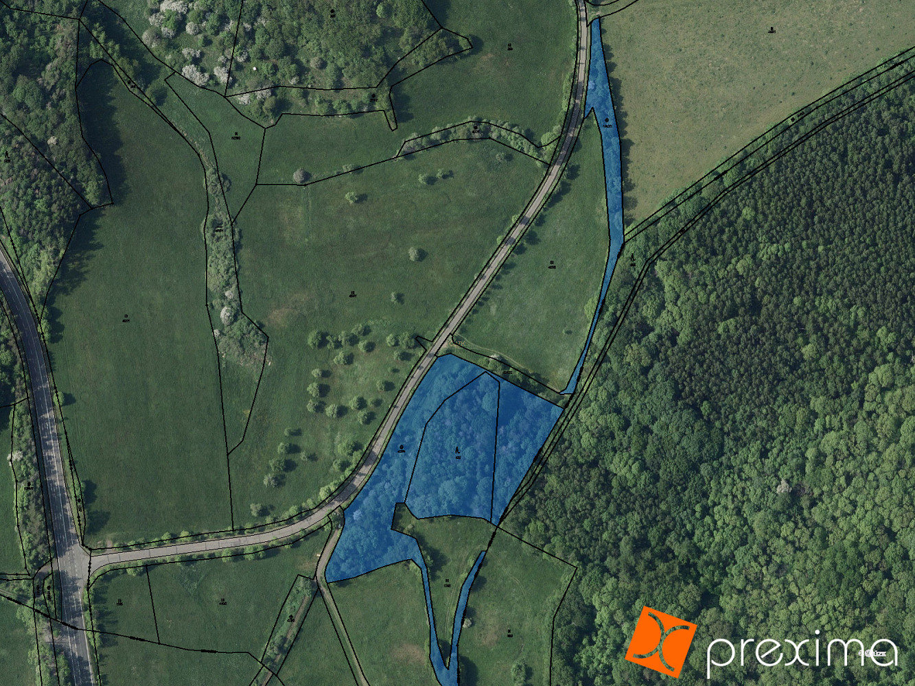 Prodej lesa 7 092 m²