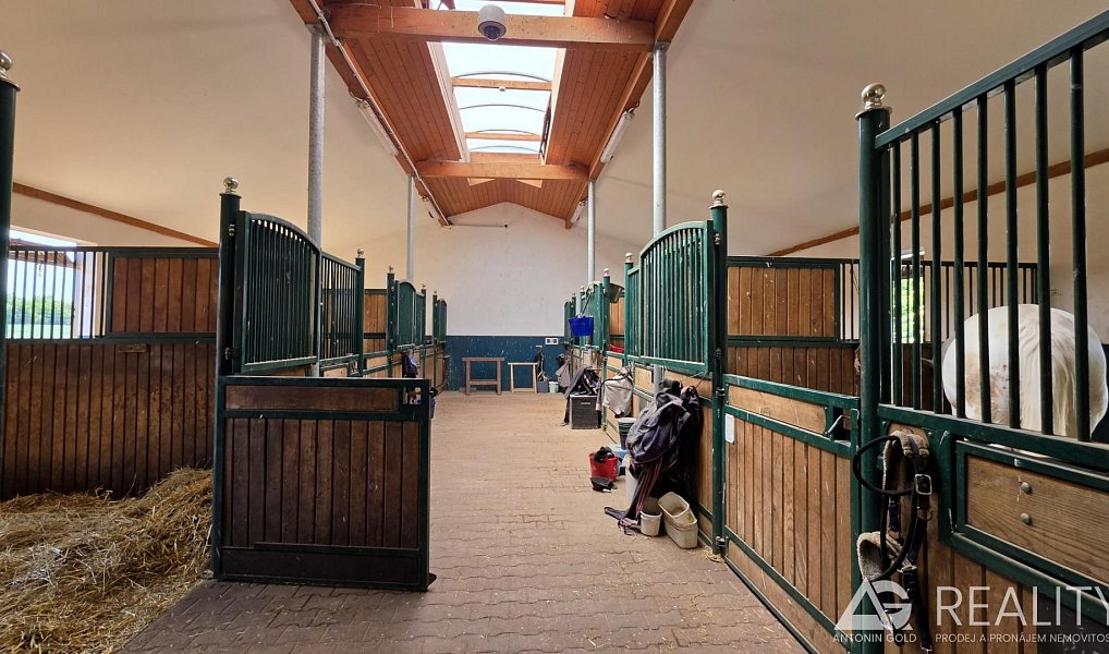 Prodej zemědělského objektu 5 128 m², Úžice – náhled fotky 4