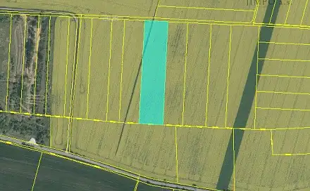 Prodej pole 10 074 m², Dubany, okres Pardubice