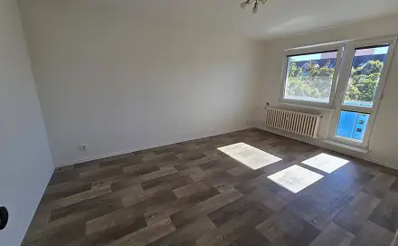Prodej bytu 2+1 57 m², Souběžná, Brno - Židenice