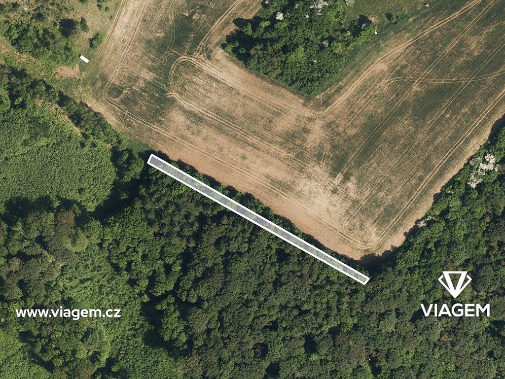 Prodej lesa 1 073 m² – fotografie 2