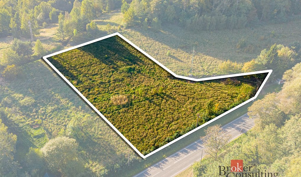 Prodej stavebního pozemku 3 543 m², Hodkovice nad Mohelkou – náhled fotky 4