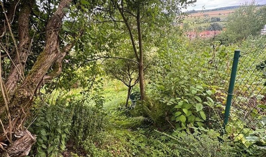 Prodej chaty/chalupy 20 m² s pozemkem 465 m², Police nad Metují – náhled fotky 10