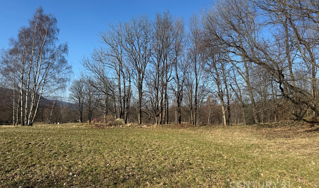 Prodej louky 3 194 m², Bílý Potok – náhled fotky 3