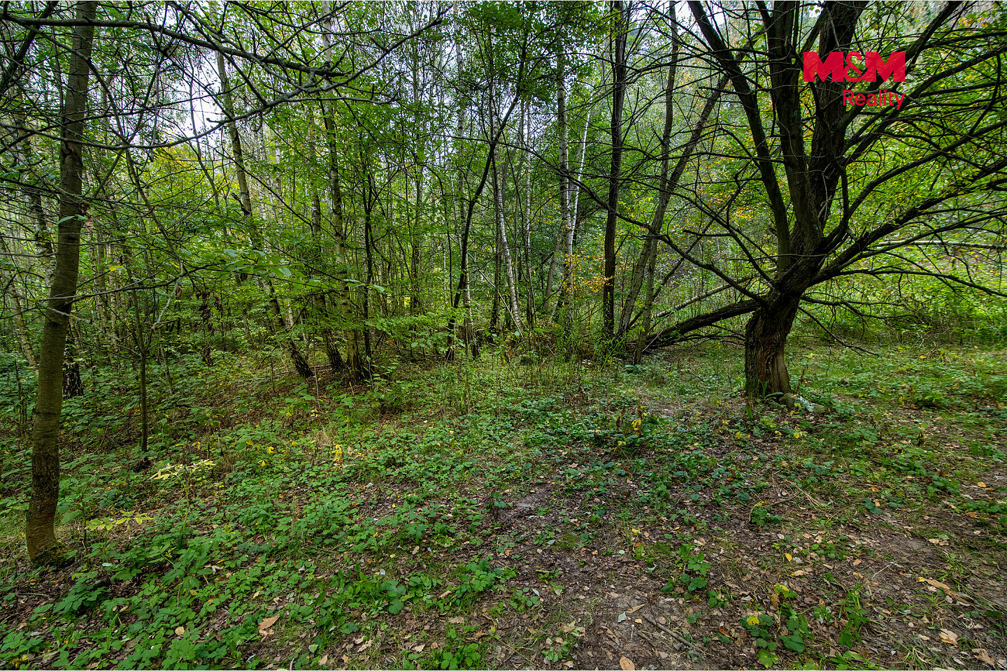 Prodej pole 51 974 m² – fotografie 4