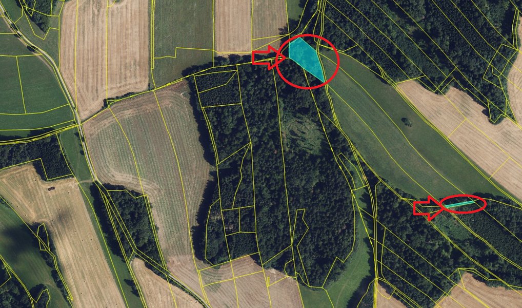 Prodej lesa 9 585 m², Dzbel – náhled fotky 21