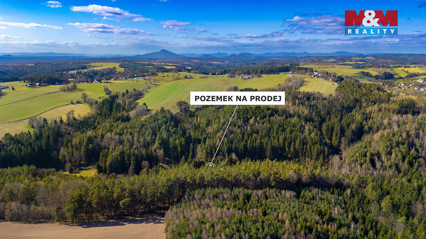 Prodej lesa 23 199 m² — photo 4