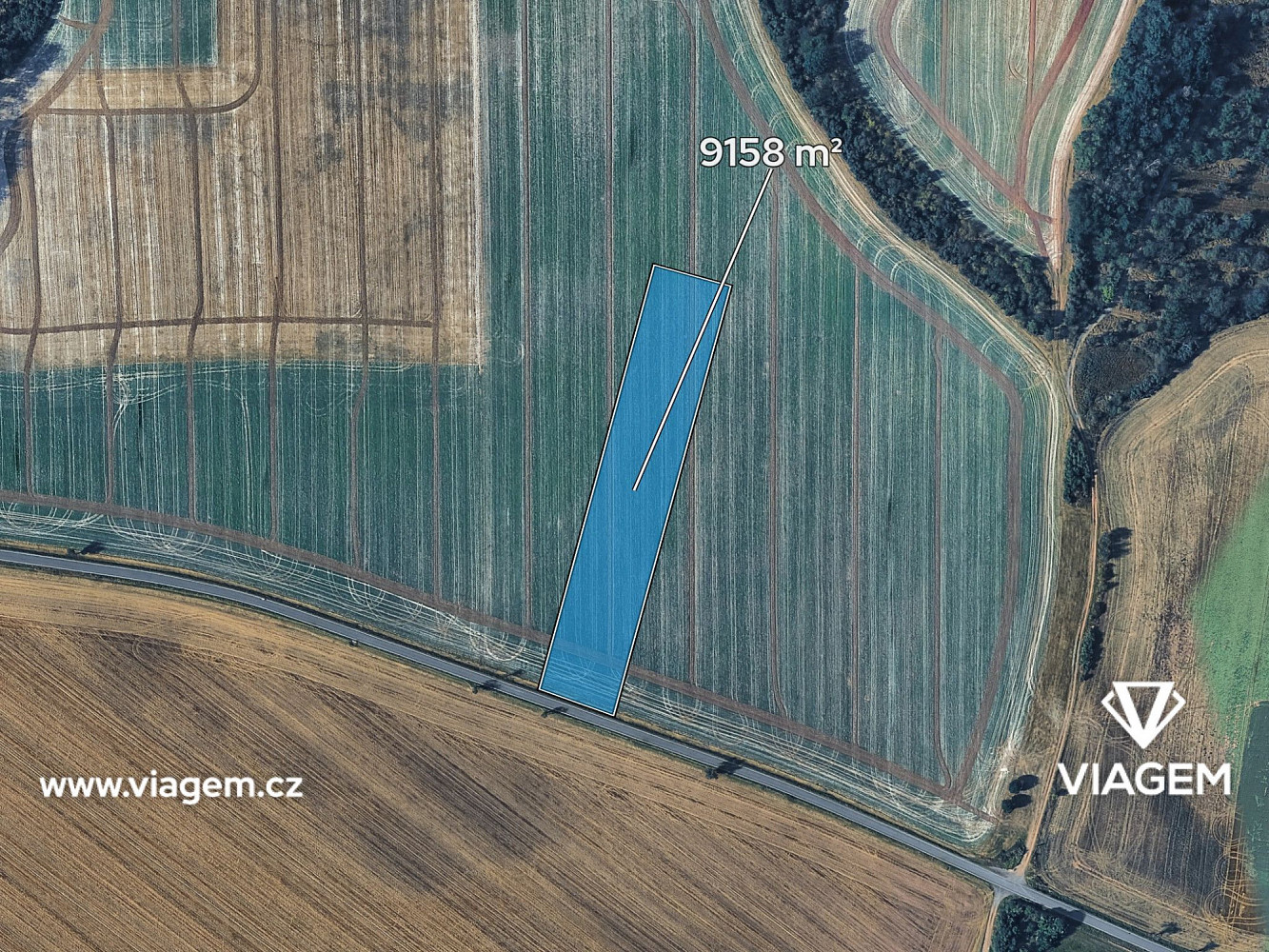 Prodej pole 1 831 m² – fotografie 2