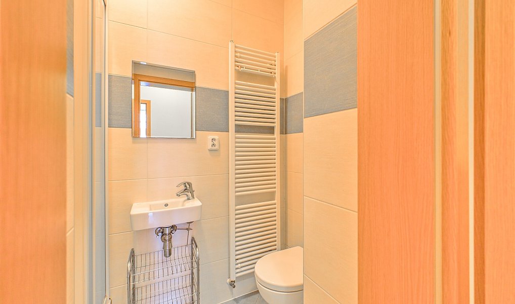 Pronájem bytu 1+kk 20 m², Brno – náhled fotky 9