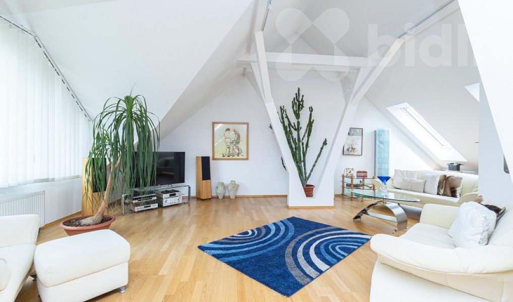 Prodej bytu 3+1 174 m², Nové Město na Moravě – náhled fotky 5