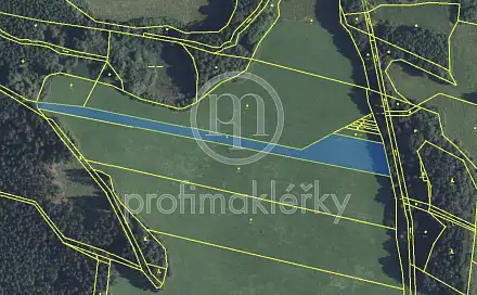 Prodej louky 5 639 m², Opatov, okres Svitavy