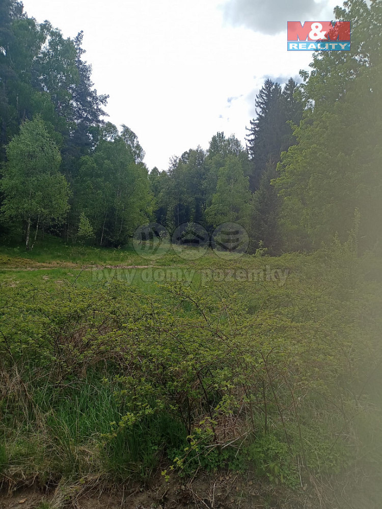 Prodej lesa 4 526 m²