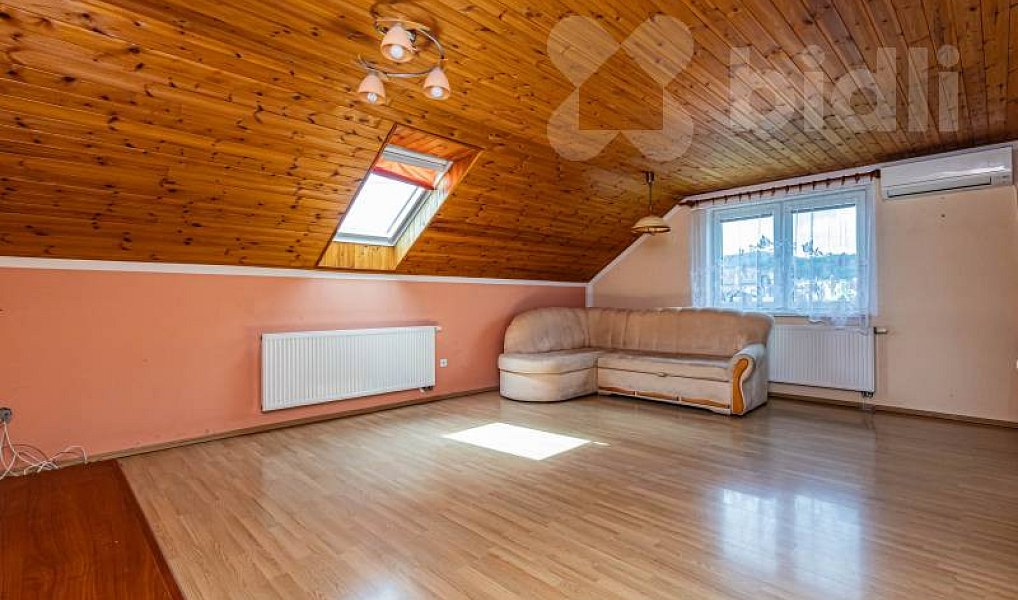 Prodej domu 302 m² s pozemkem 1 108 m², Javorník – náhled fotky 41