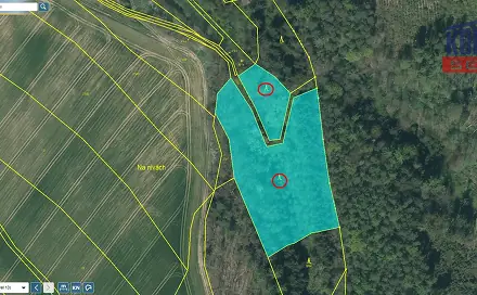 Prodej lesa 23 812 m², Bečice, okres Tábor