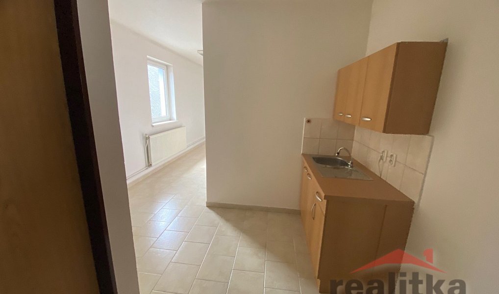Prodej domu 525 m² s pozemkem 1 376 m², Opava – náhled fotky 11