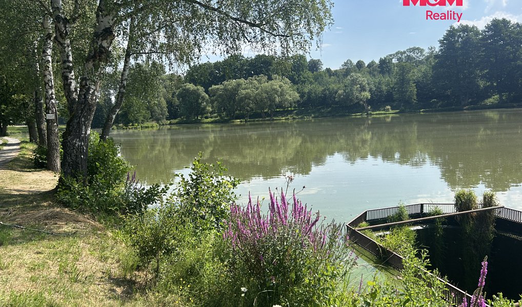 Prodej stavebního pozemku 3 689 m², Zbraslavice – náhled fotky 9
