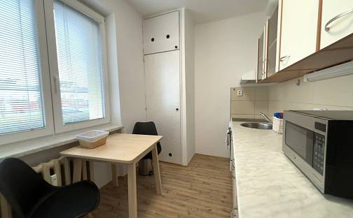 Pronájem bytu 2+1 52 m², U Prazdroje, Plzeň - Východní Předměstí