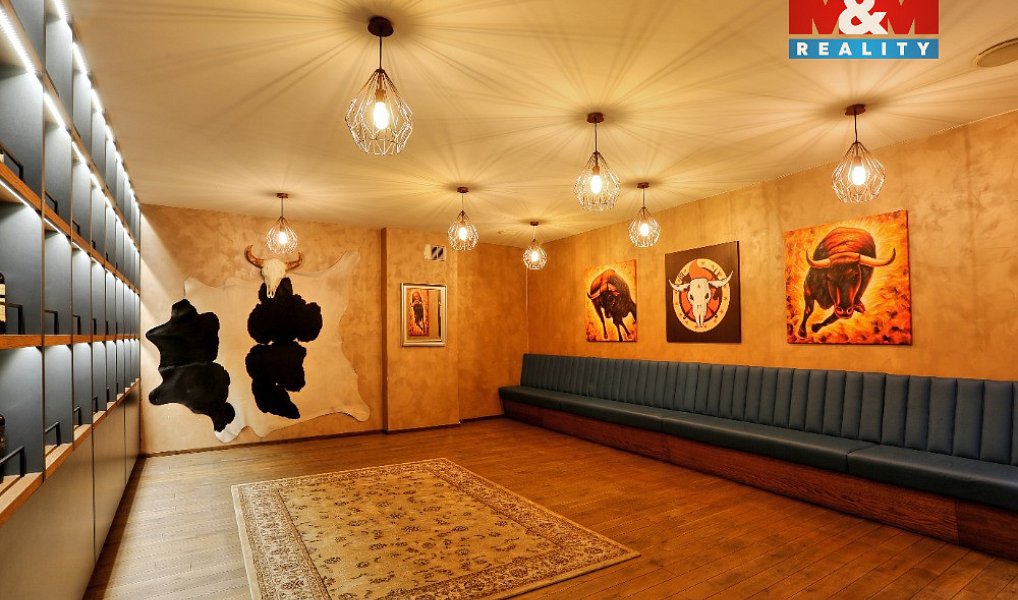 Prodej obchodních prostor 890 m², Olomouc – náhled fotky 3