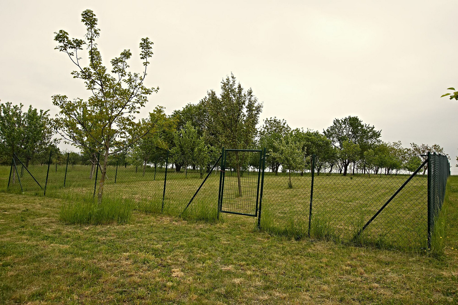 Prodej zahrady 1 280 m²