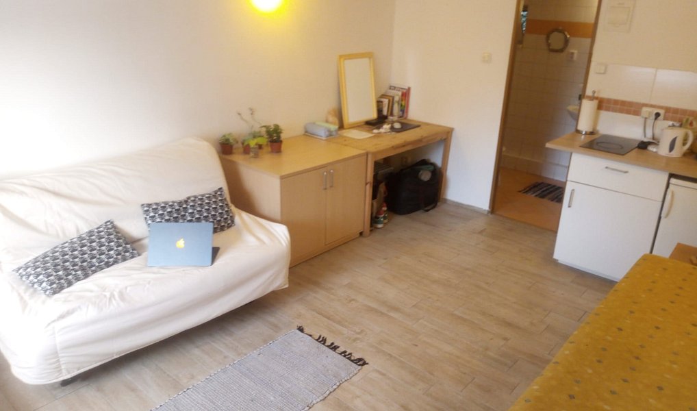Pronájem bytu 1+kk 25 m², Praha – náhled fotky 8