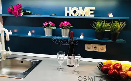 Pronájem bytu 1+1 40 m²