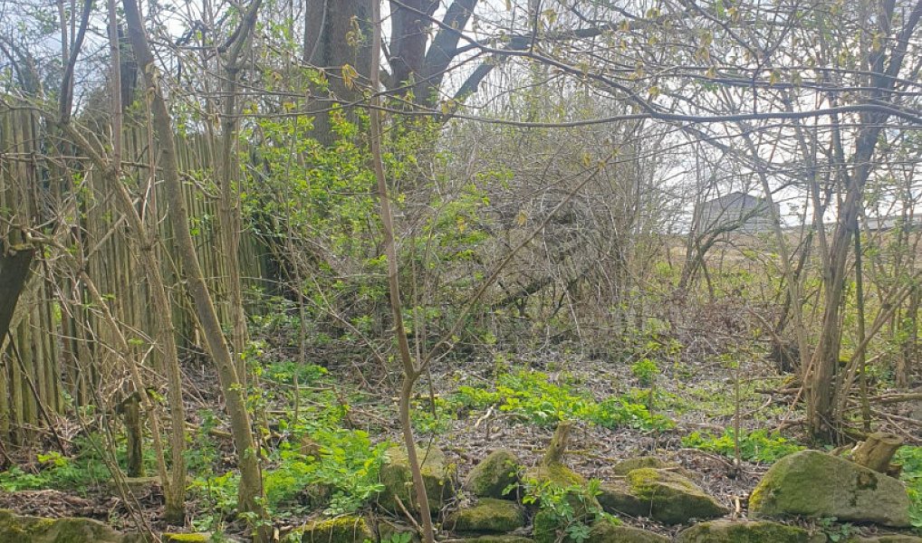 Prodej pole 1 818 m², Kozlovice – náhled fotky 4