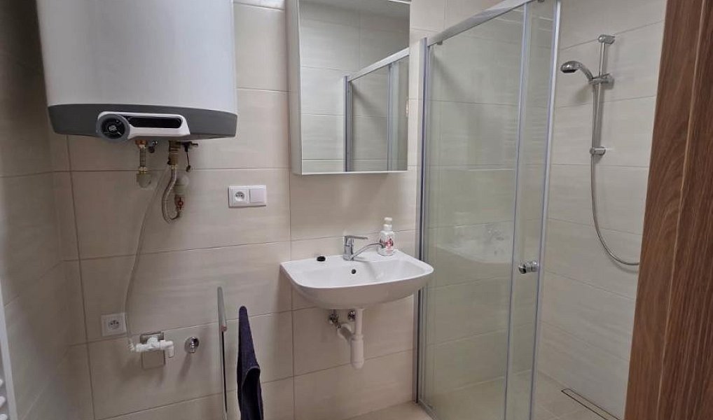 Pronájem bytu 1+1 40 m², Olomouc – náhled fotky 8