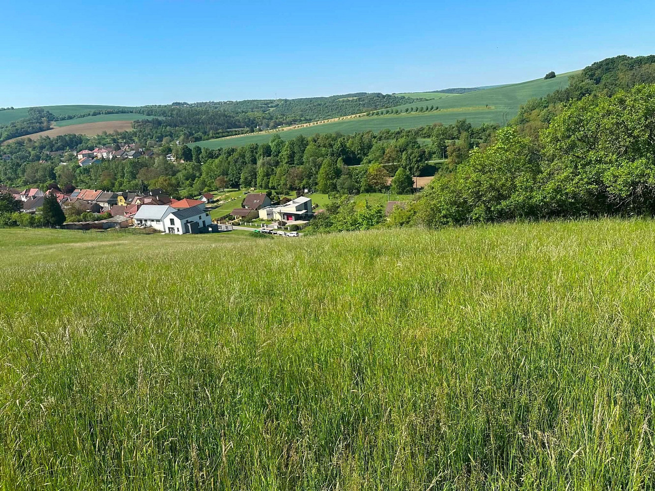 Prodej louky 8 138 m² – pohled 2