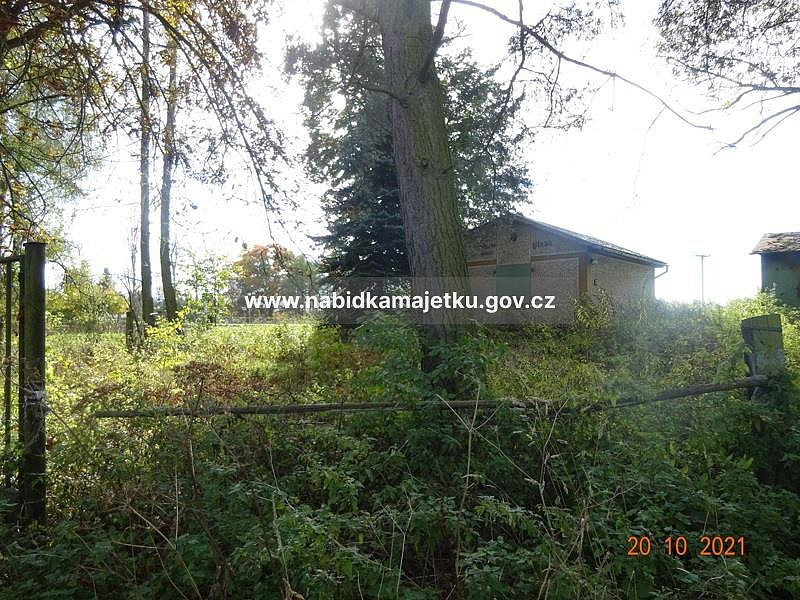 Fotka 5 z 6