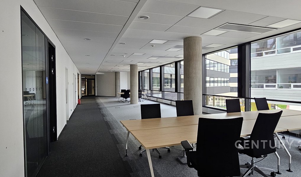 Pronájem kanceláře 439 m², Praha – náhled fotky 2