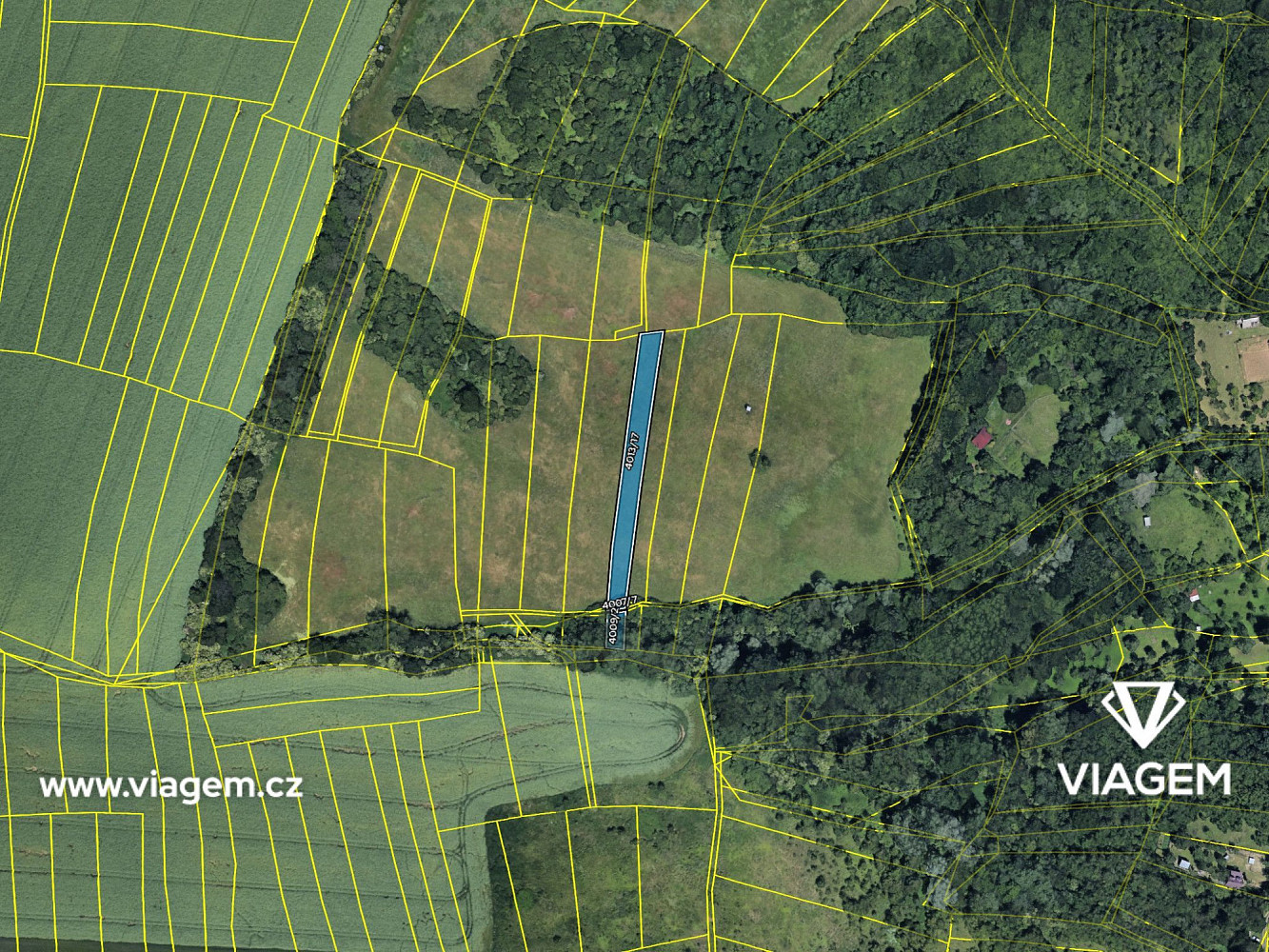 Prodej pole 1 666 m² – fotografie 4