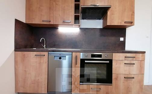 Pronájem bytu 1+kk 26 m², Palackého, Ostrava - Přívoz