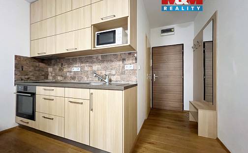 Pronájem bytu 1+kk 26 m², Šumavská, Strakonice - Přední Ptákovice