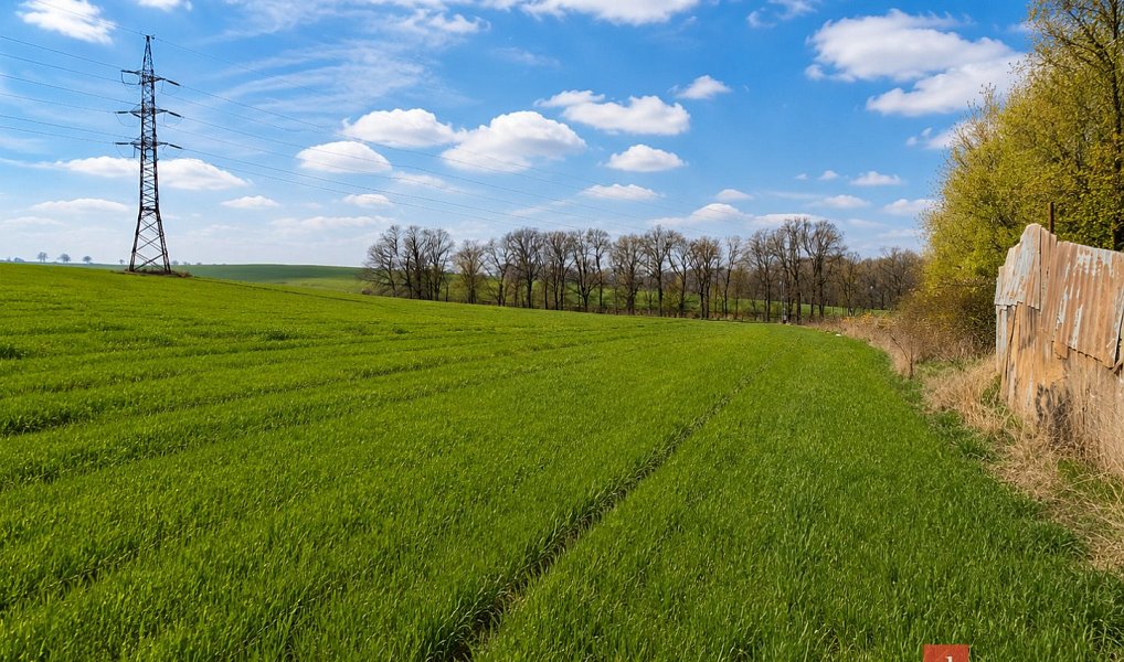 Prodej pole 54 936 m², Říčany – náhled fotky 4