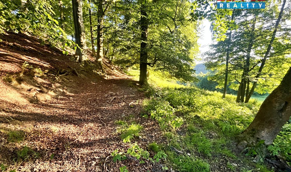Prodej louky 5 449 m², Teplice nad Metují – náhled fotky 10