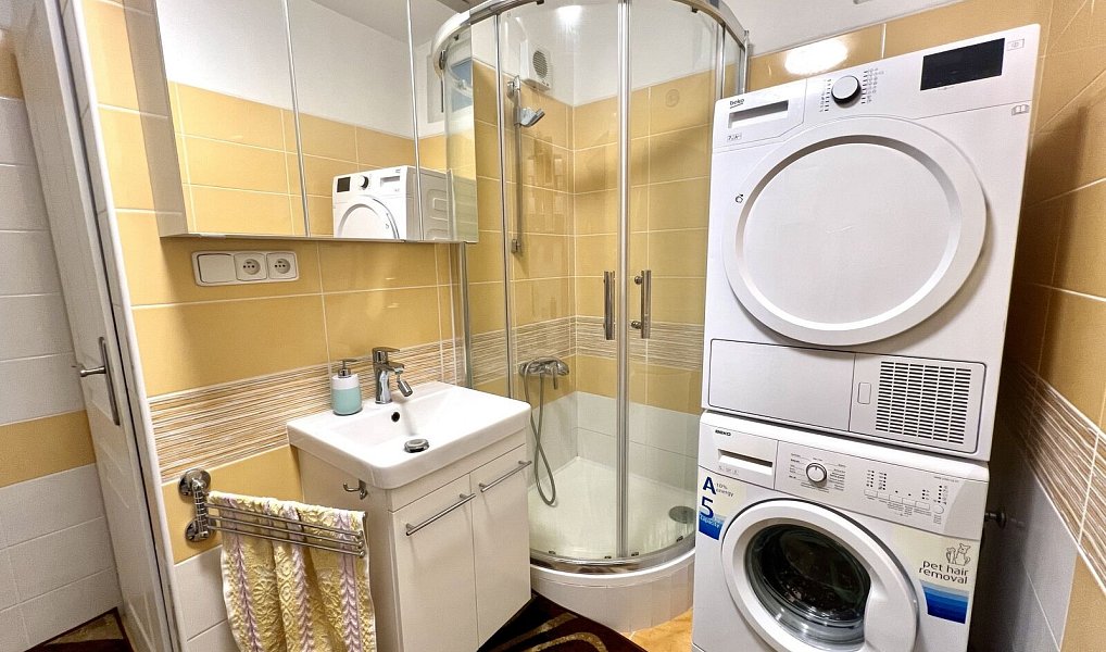 Prodej bytu 3+1 58 m², Praha – náhled fotky 16