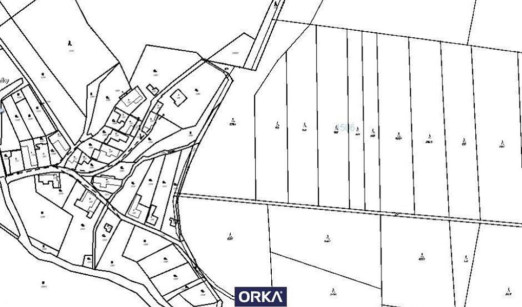 Prodej lesa 5 078 m², Budětsko – náhled fotky 2