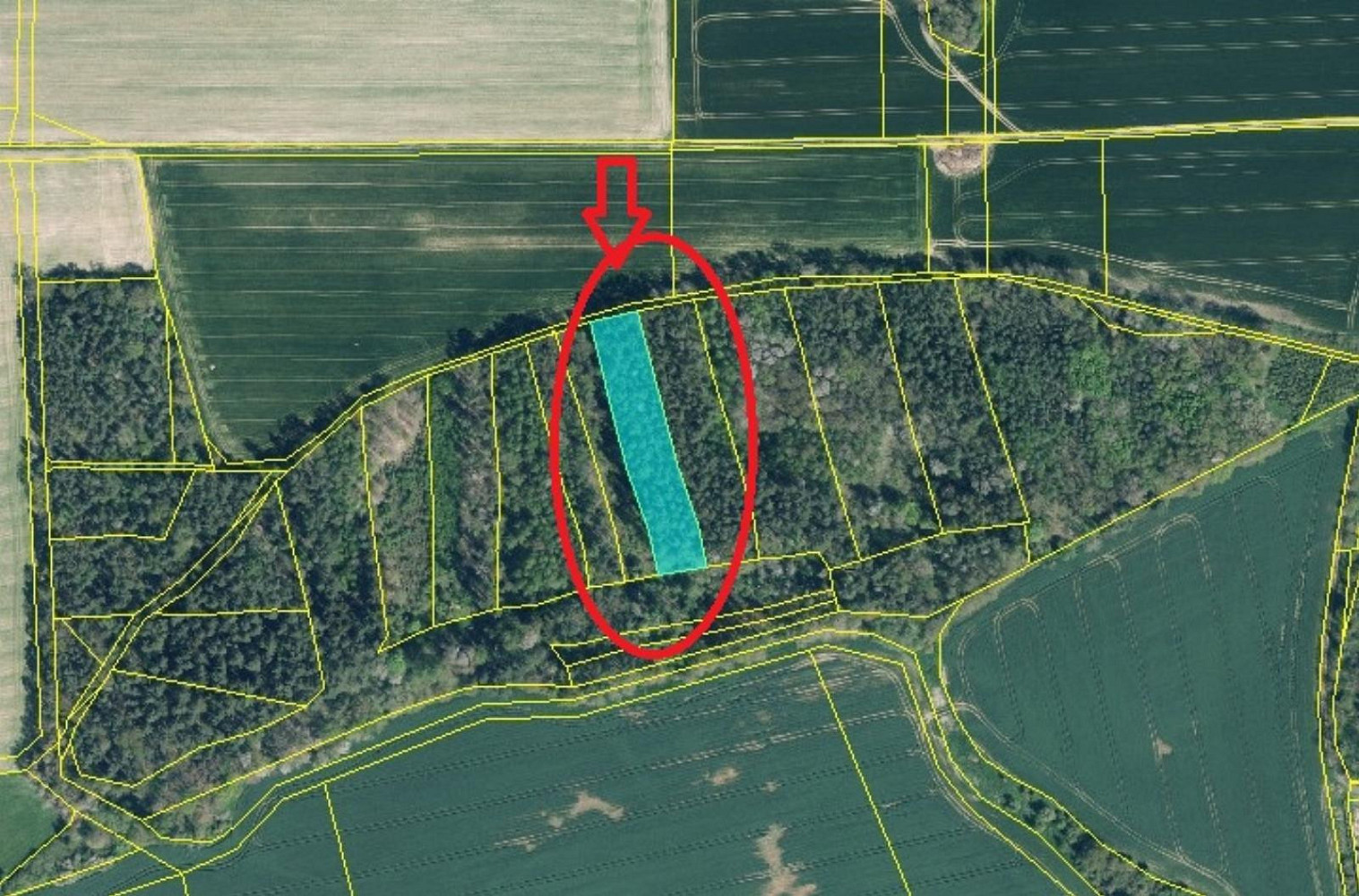 Prodej lesa 1 818 m² – další