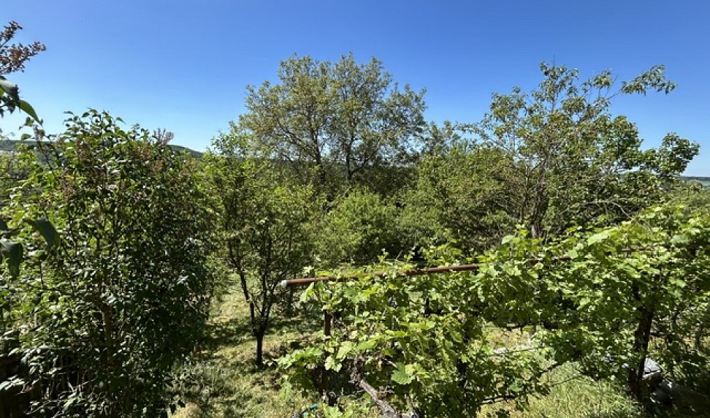 Prodej chaty/chalupy 40 m² s pozemkem 384 m², Nové Strašecí – náhled fotky 24