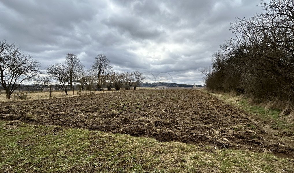 Prodej zahrady 1 159 m², Cizkrajov – náhled fotky 4